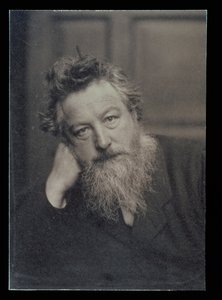 Portrait Photograph of William Morris